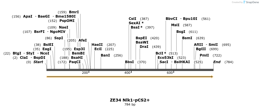 22881_map