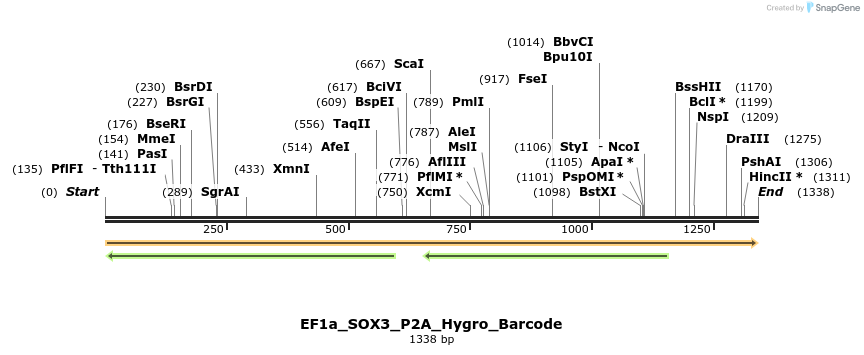 228811_map