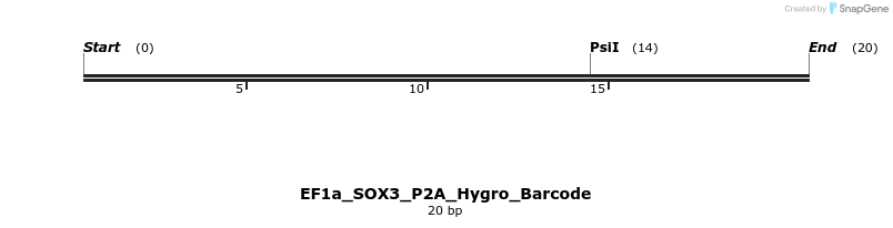 228812_map