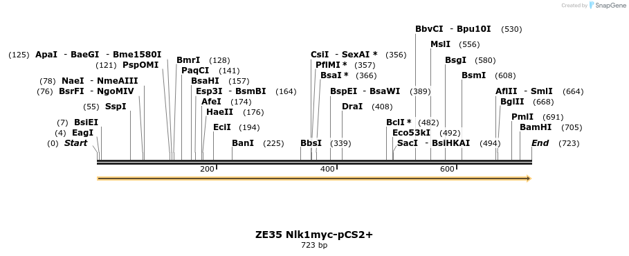 22882_map