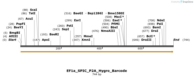 228820_map