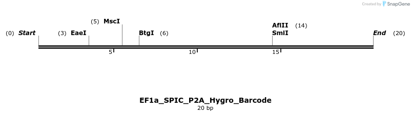 228821_map