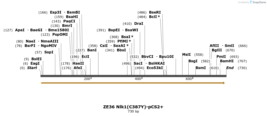 22883_map