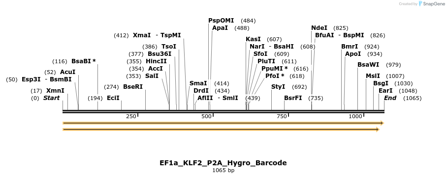 228835_map