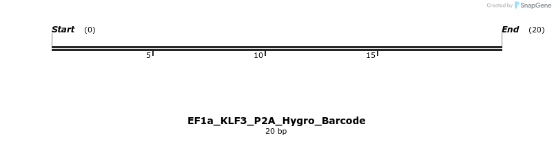 228839_map