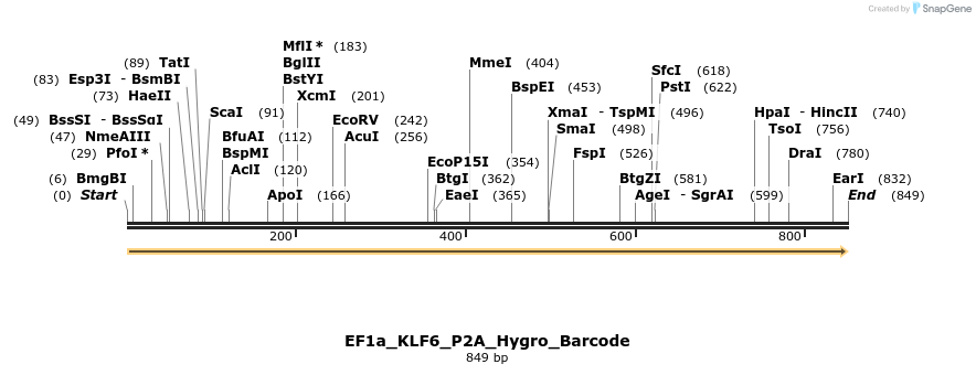 228844_map