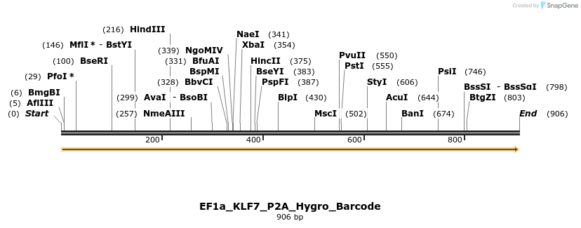 228847_map