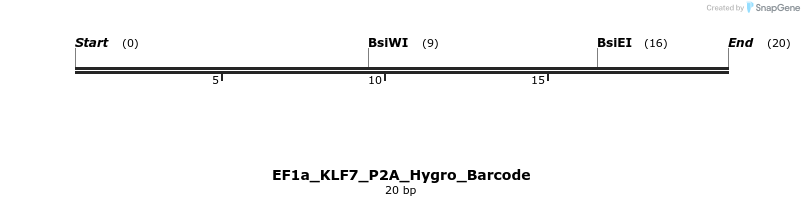228848_map