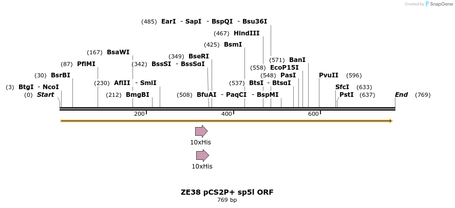 22885_map