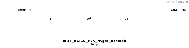 228857_map