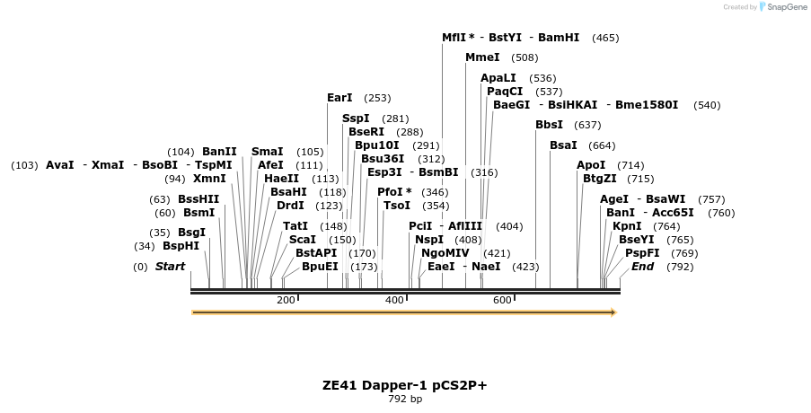 22886_map