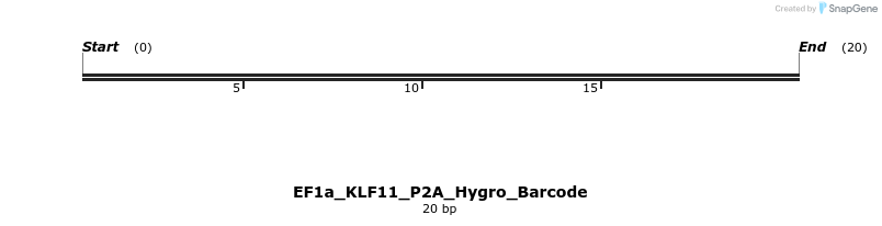 228860_map