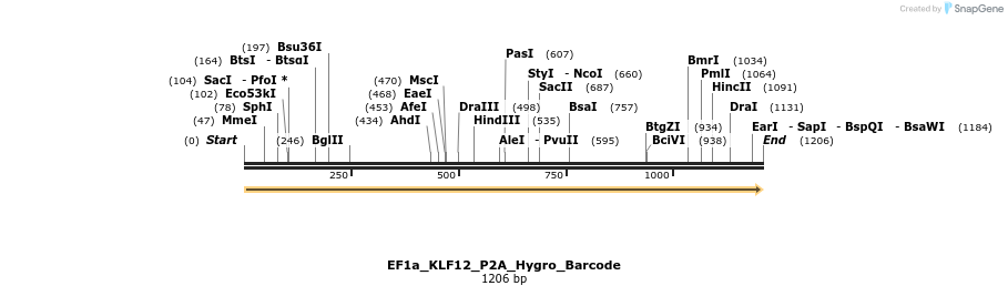 228862_map