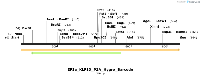 228865_map