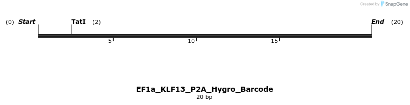 228866_map