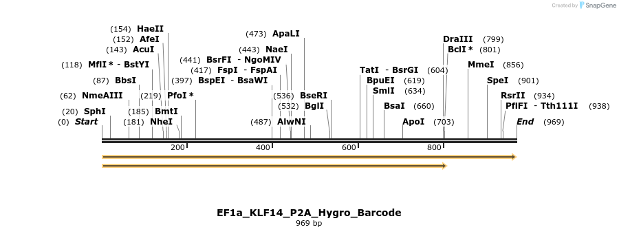 228868_map