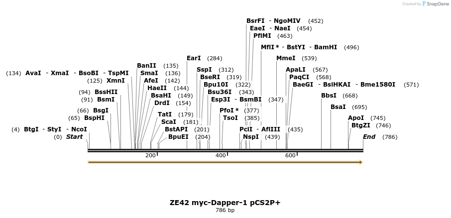 22887_map