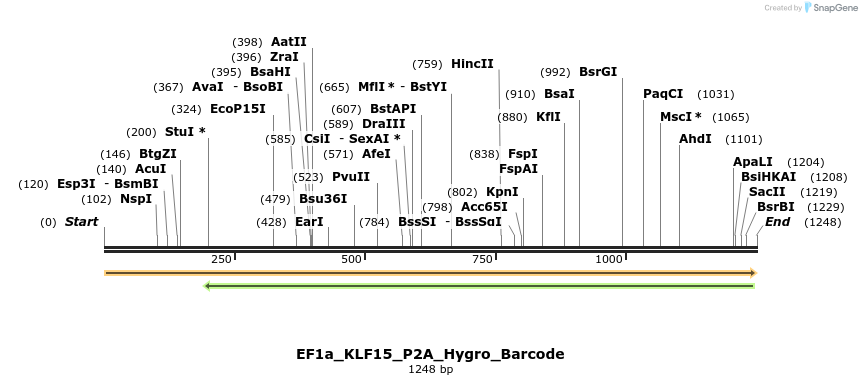 228871_map