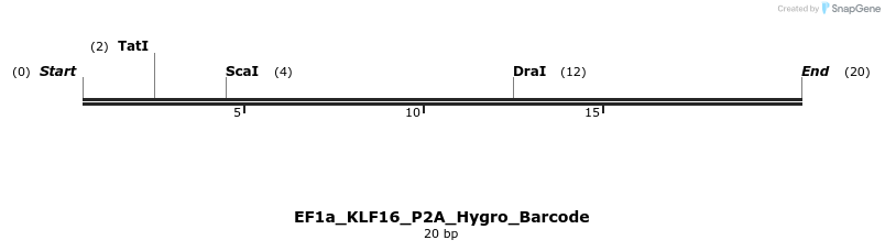228875_map