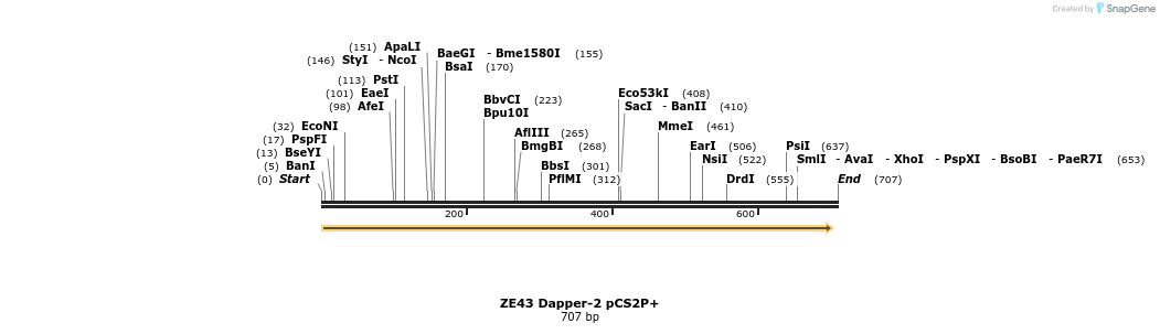 22888_map