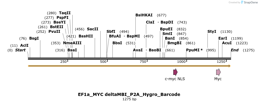 228880_map