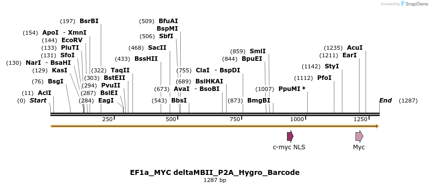 228883_map