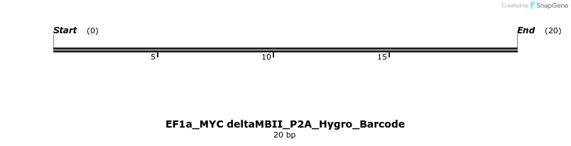 228884_map