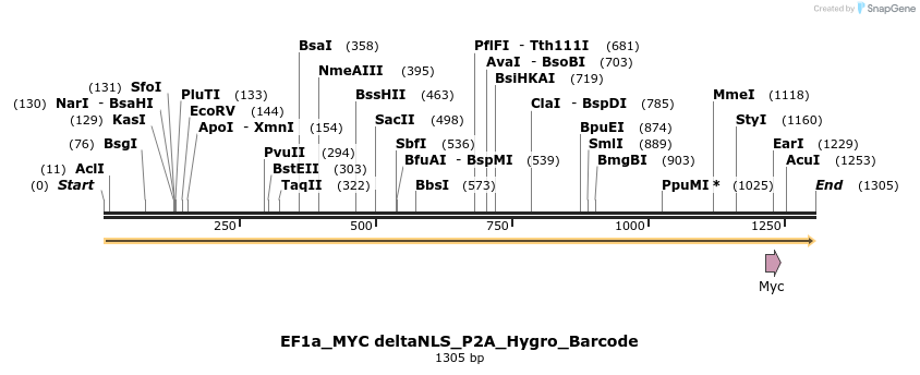 228886_map