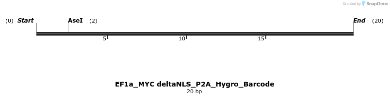 228887_map