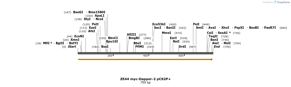 22889_map