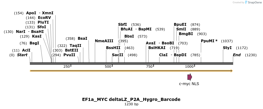 228895_map
