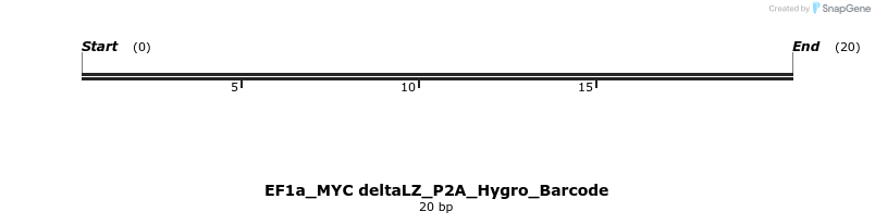 228896_map