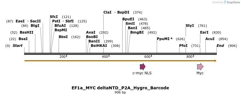 228898_map
