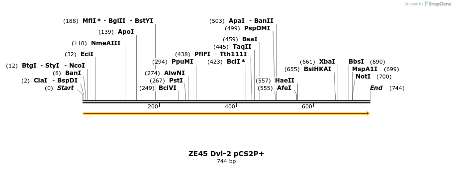 22890_map