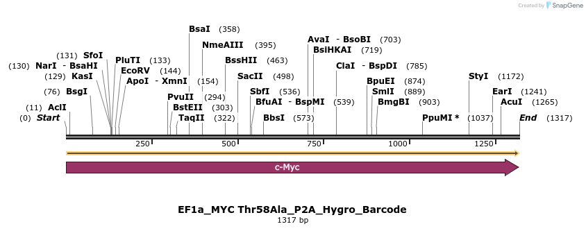 228907_map