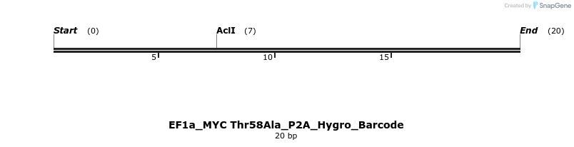 228908_map