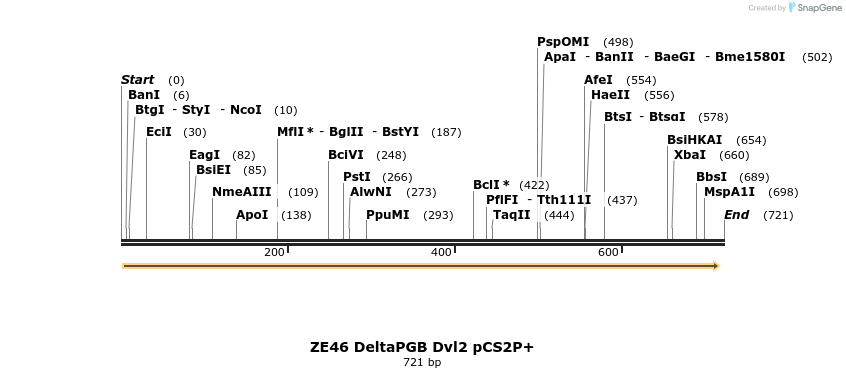 22891_map