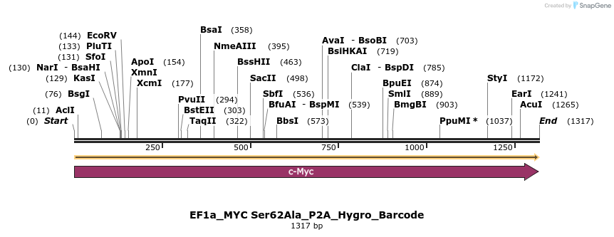 228910_map