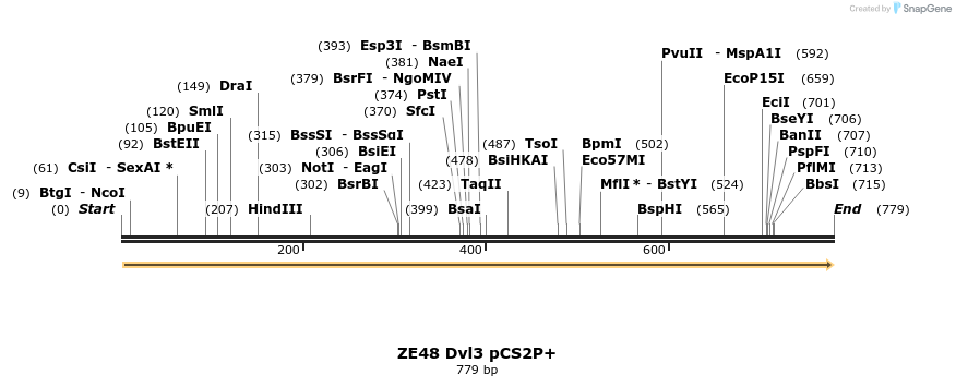22892_map