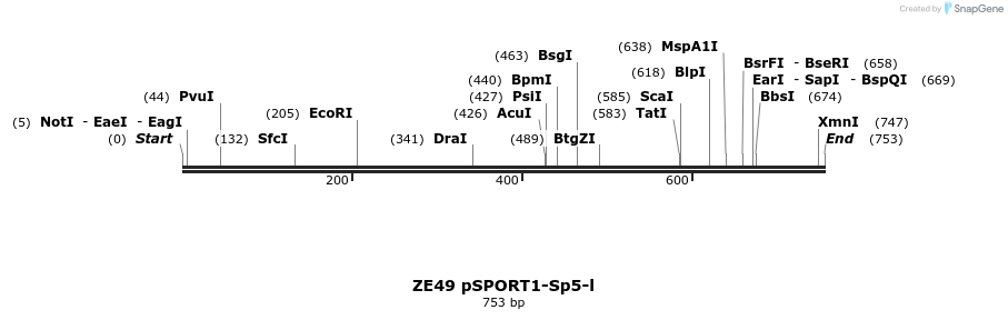 22893_map