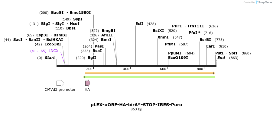 228951_map