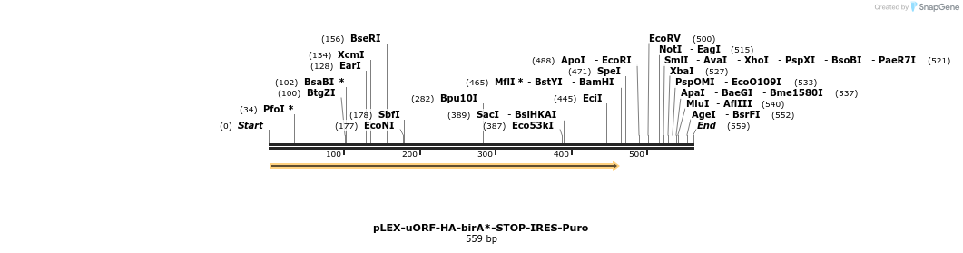 228952_map