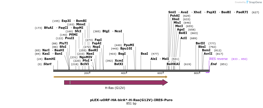228962_map