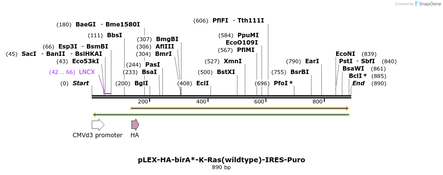 228965_map
