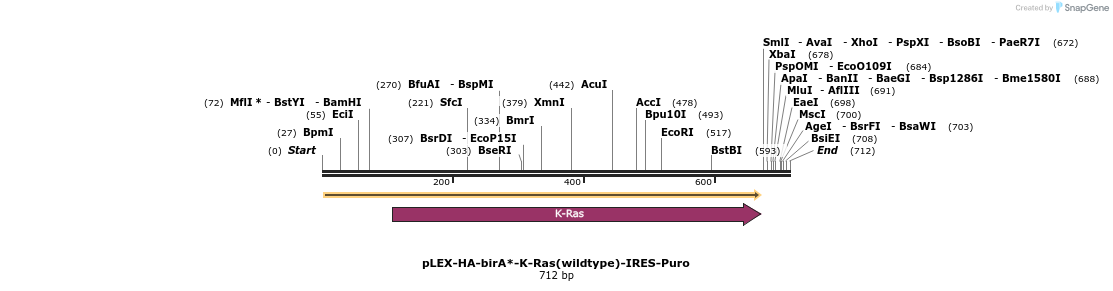 228967_map