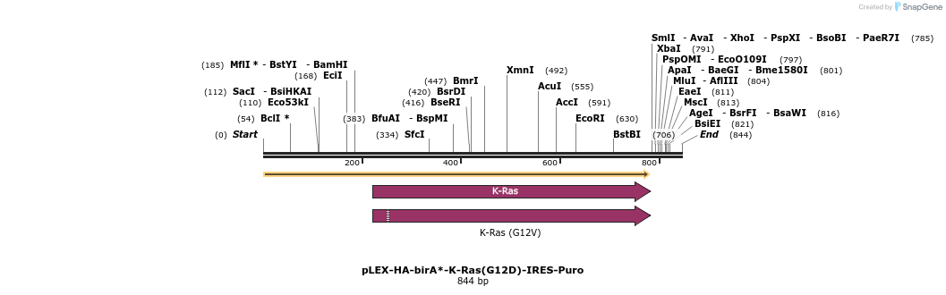 228971_map