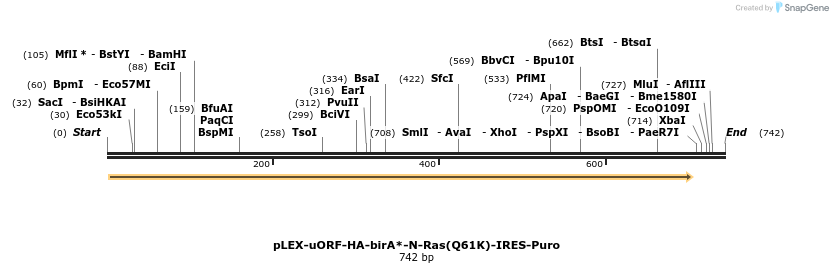 228979_map
