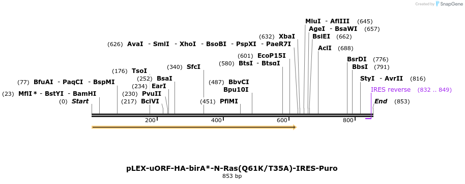 228982_map