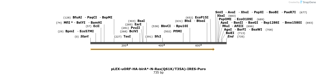 228983_map