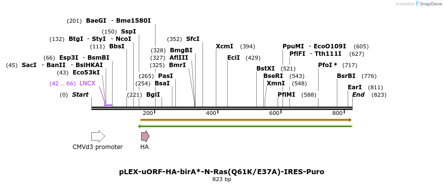 228986_map